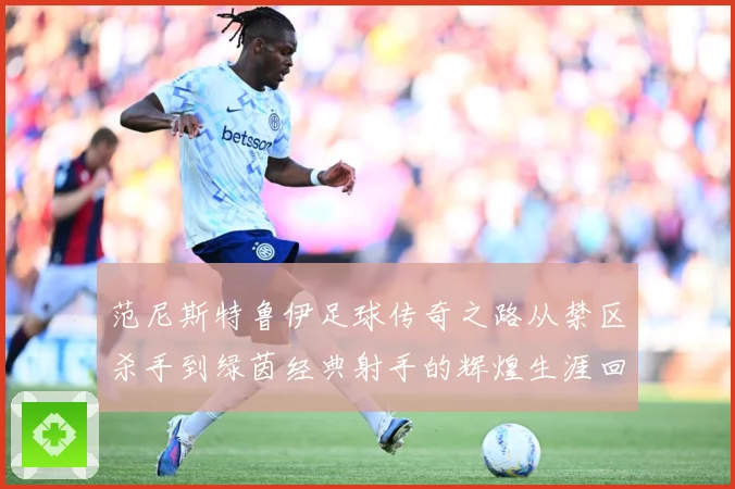 范尼斯特鲁伊足球传奇之路从禁区杀手到绿茵经典射手的辉煌生涯回顾