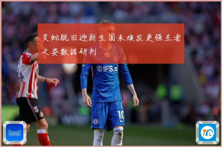 灵蛇脱旧迎新生国米焕发更强王者之姿数据研判