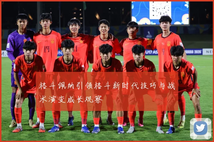格斗佩纳引领格斗新时代技巧与战术演变成长观察