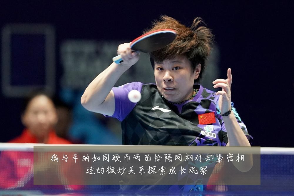 我与辛纳如同硬币两面恰隔网相对却紧密相连的微妙关系探索成长观察