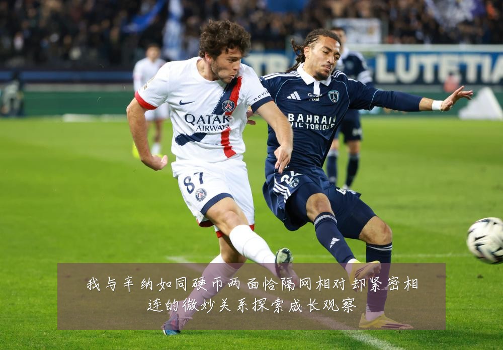 我与辛纳如同硬币两面恰隔网相对却紧密相连的微妙关系探索成长观察